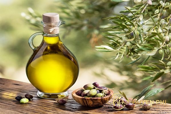 Trong dầu oliu có nhiều dưỡng chất làm đẹp cho da hoàn hảo